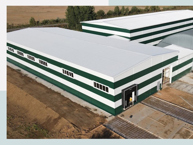 Строительство овощехранилищ в Кстово